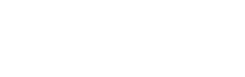 诊段